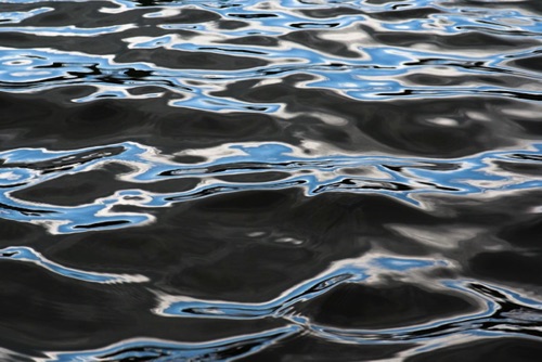 Water Detail, Upland Pond, Sussex County, NJ 09 07 (6924SA).jpg